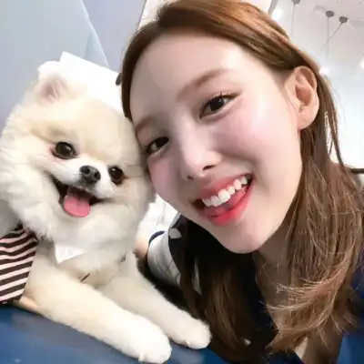 宋文